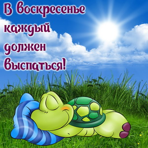 Мультяшная черепашка спящая на траве