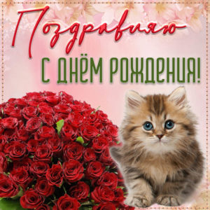 Милый котенок и букет роз на День рождения