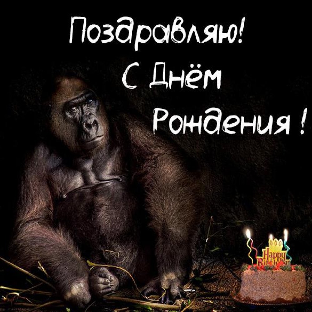 Прикольная открытка с днем рождения бывшей - поздравляйте бесплатно на otkritochka.net