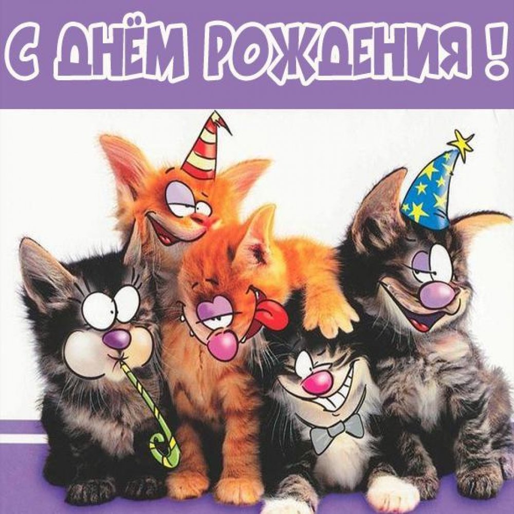 Прикольная открытка с днем рождения с котятами