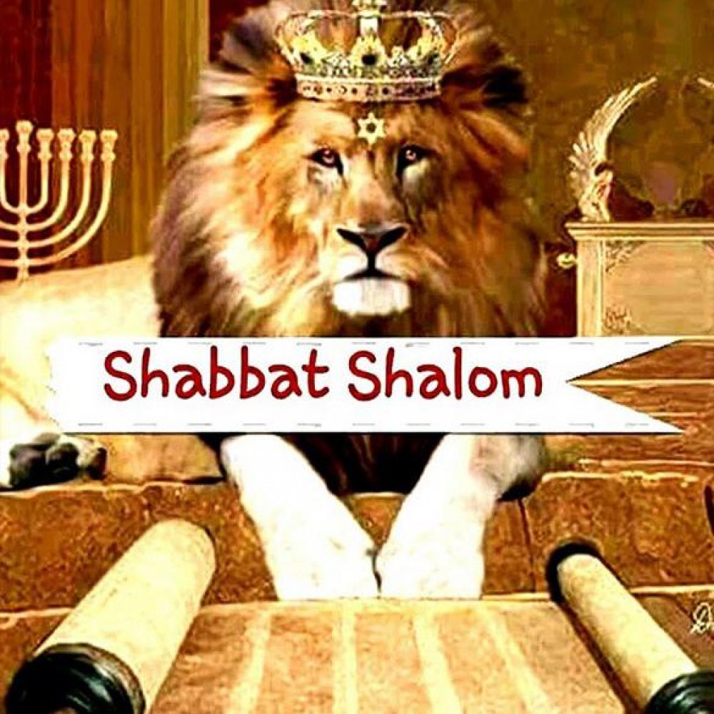 Картинка Шабат Шалом со львом
