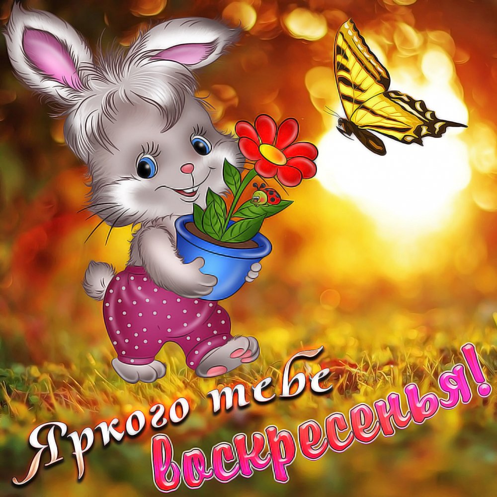 Красивая картинка с кроликом и бабочкой
