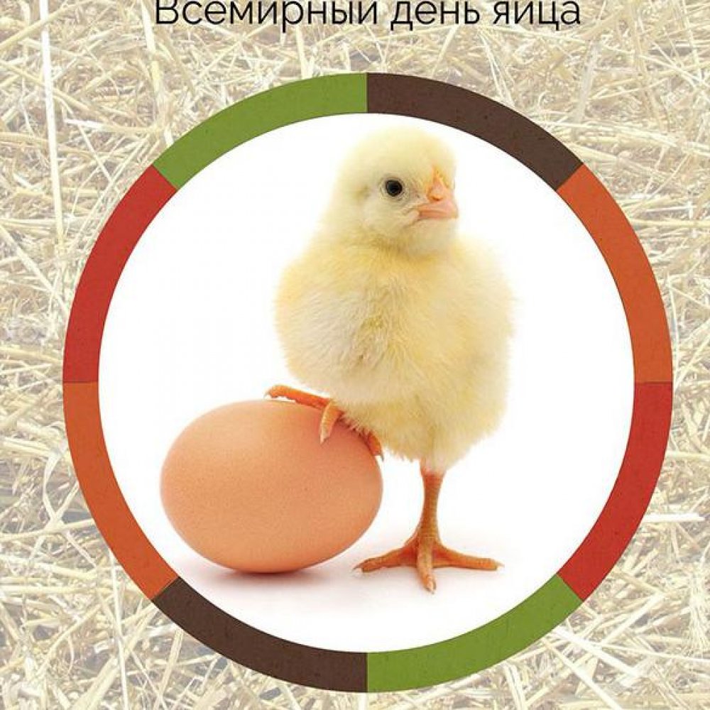 Картинка на всемирный день яйца