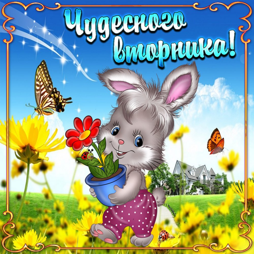 Кролик с цветочком в красивой рамке