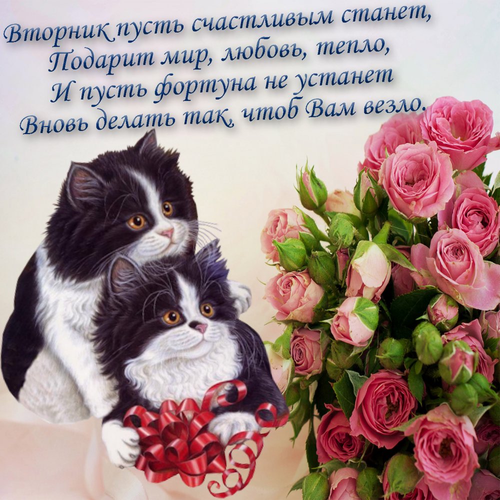 Картинка с милыми котиками и букетом роз