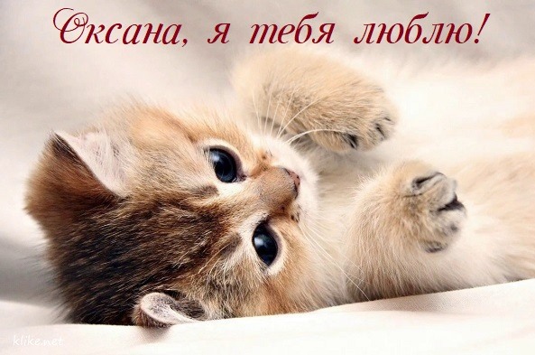 Милая открытка Оксана, я люблю тебя