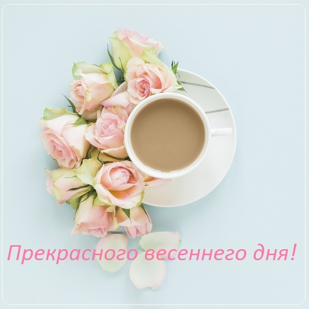 Нежные цветы с кофе