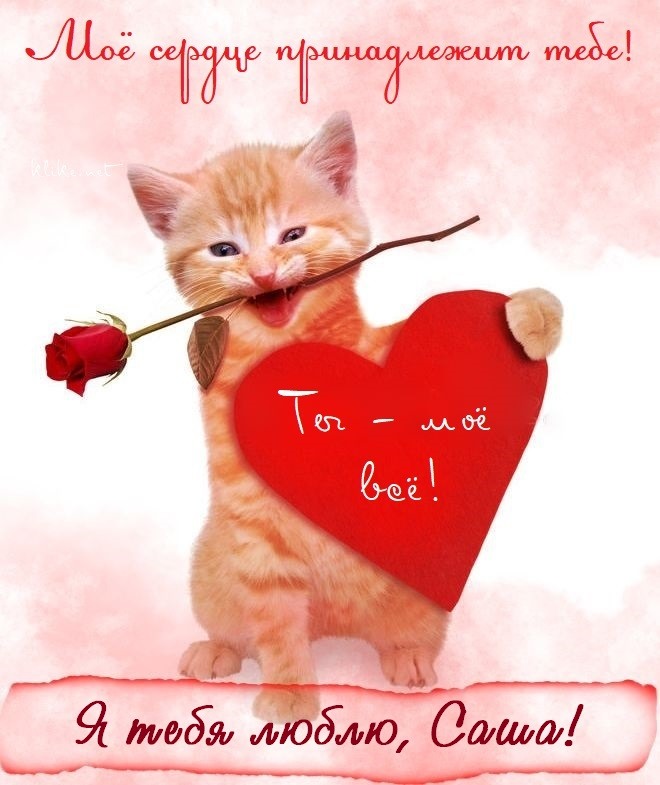 Романтический кот с цветами и сердцем