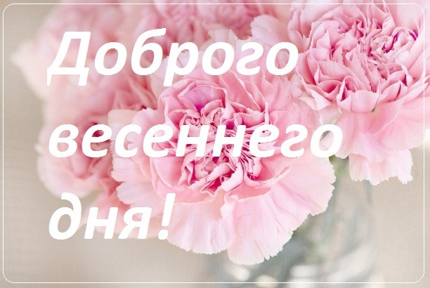 Розовые цветы для тебя