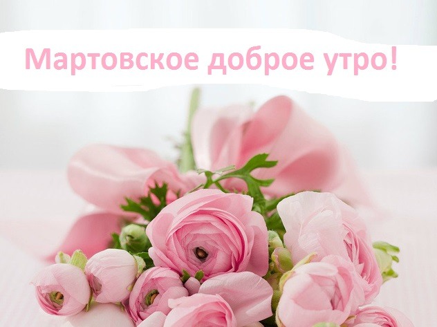 Розовые цветы девушке