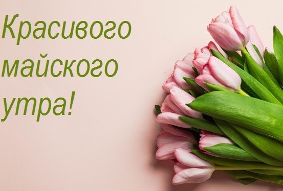 Розовый букет тюльпанов