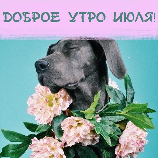 Собака с цветами Версия 2