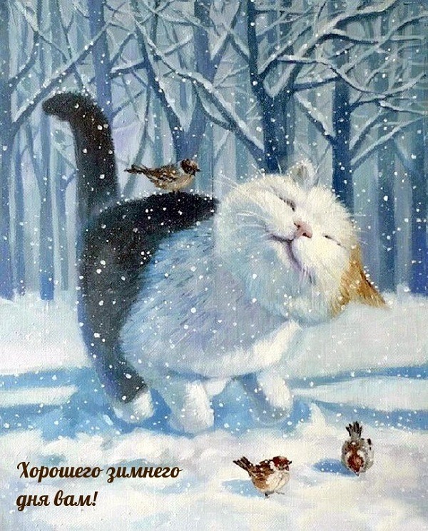 Котик с птичками на снегу