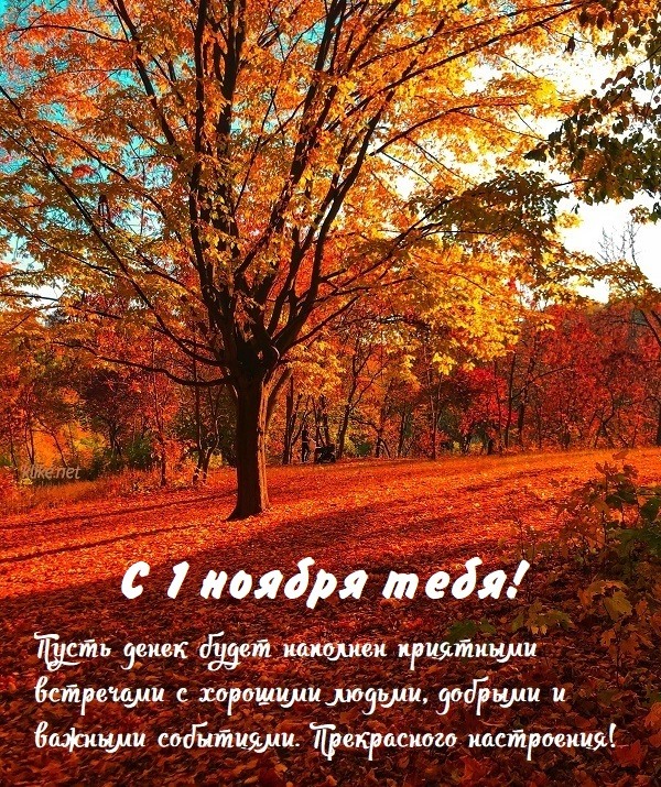 Осенние листья на природе