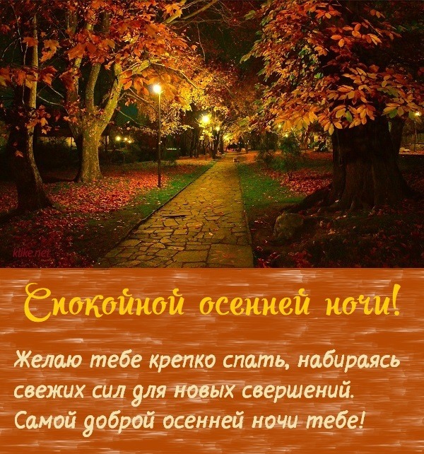 Желаю приятной ночи осенью
