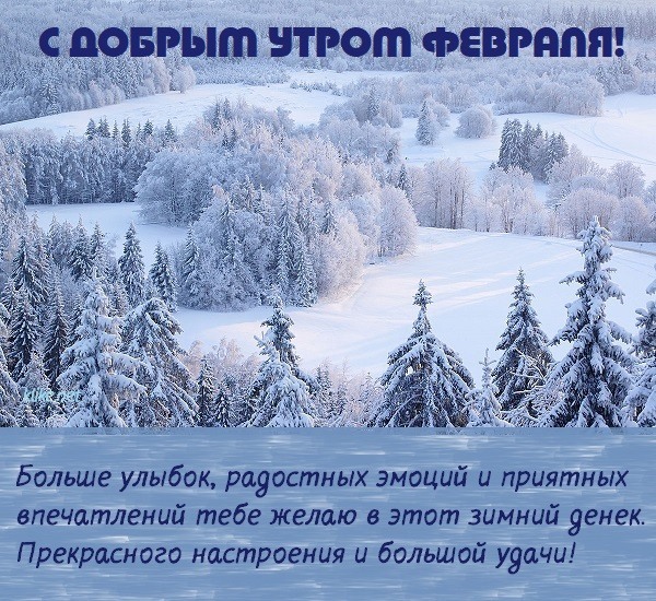 Снежная открытка доброго утра февраля