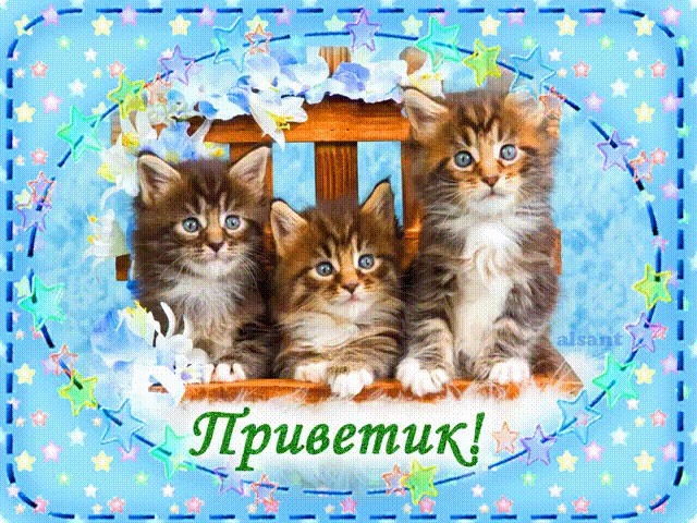 Три маленьких котенка