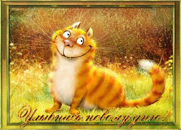 Рыжик котик на траве