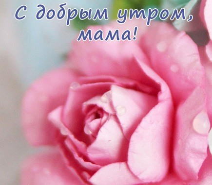 Розовые цветок женщине