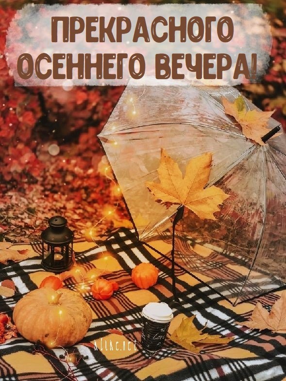 Зонтик, дождь, листья