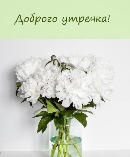 Цветы для тебя