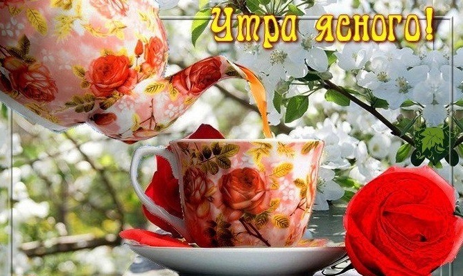 Чай с красной розой