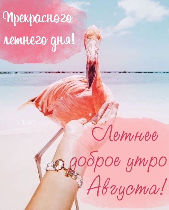 Розовый фламинго на берегу океана