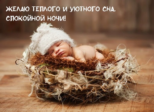 Маленький ребенок спит в гнезде