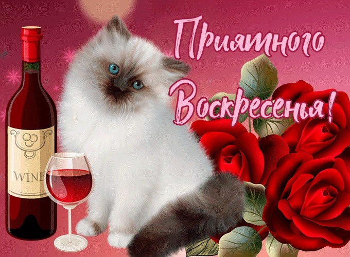 Кот с бокалом вина
