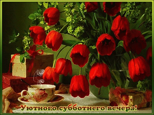 Много красных тюльпанов