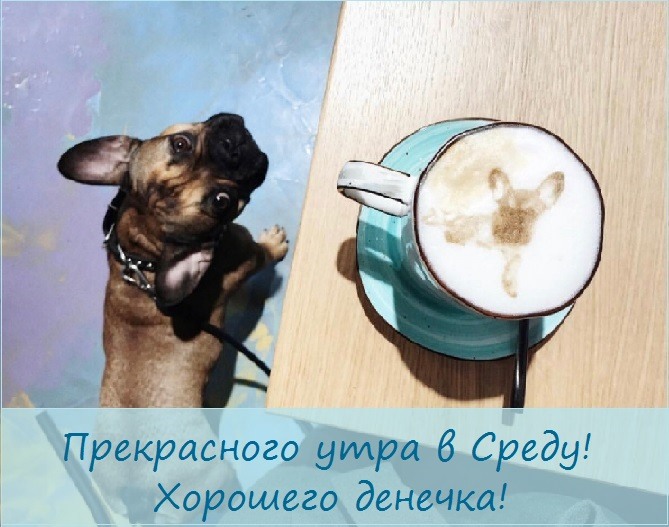 Чашка кофе с собачкой