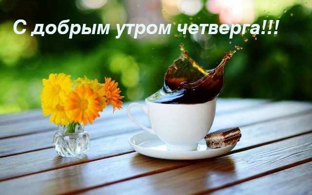 Цветы с чашкой кофе