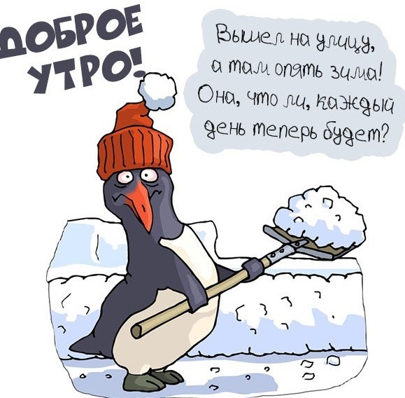 Забавный пингвин со снегом