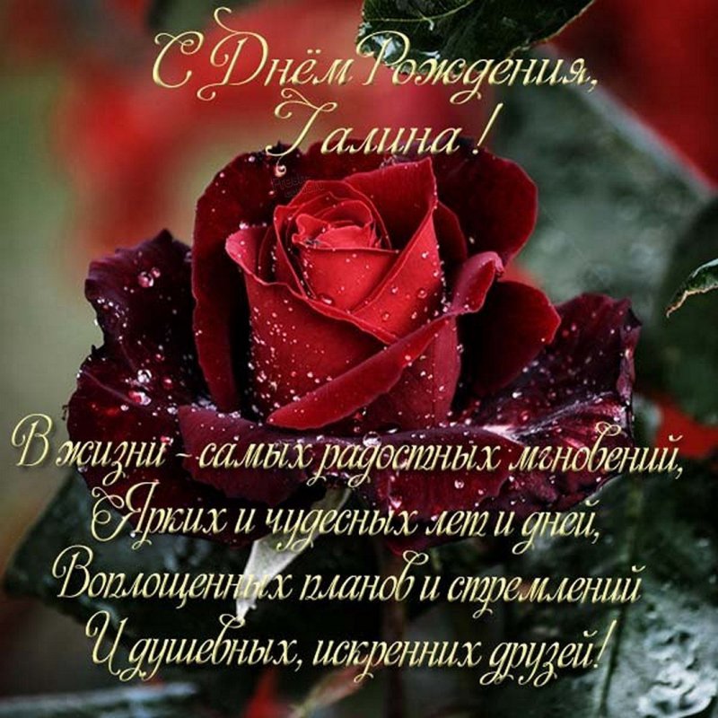 Красивая электронная открытка с днем рождения женщине Галине - поздравляйте  бесплатно на otkritochka.net