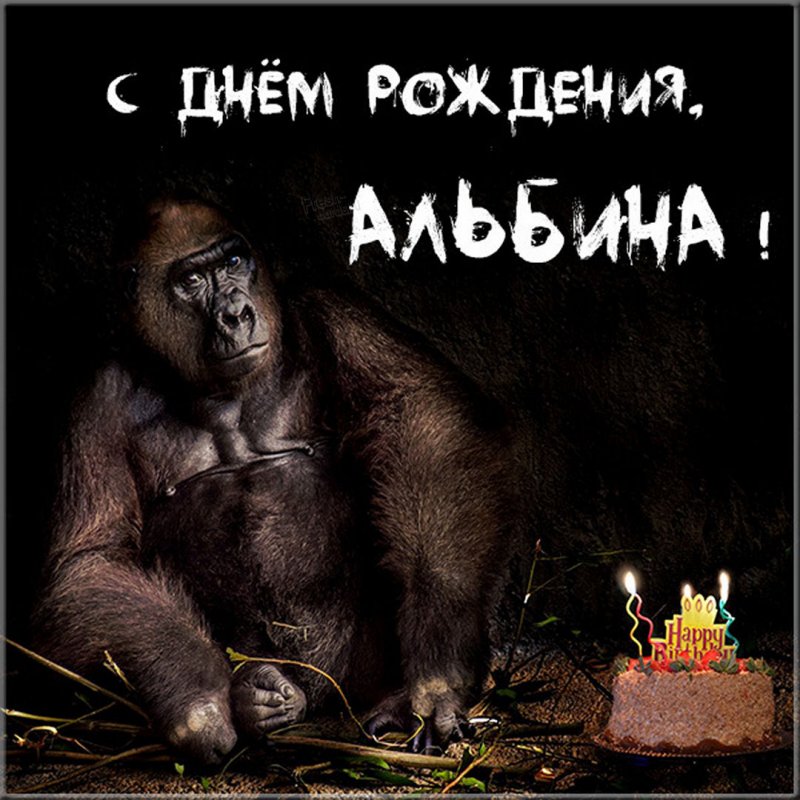 Прикольная открытка с днем рождения для Альбины