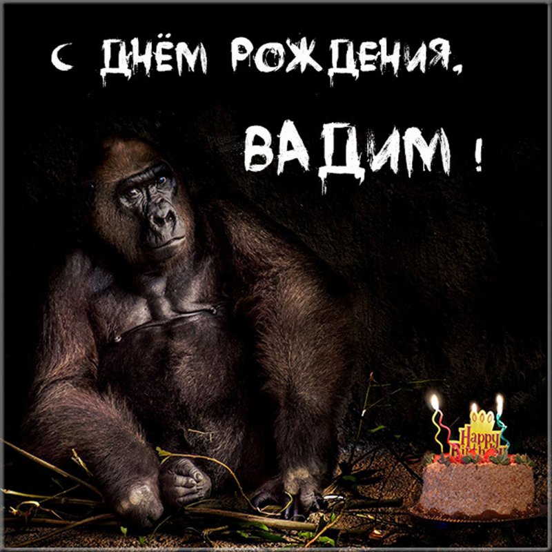 Прикольная картинка с днем рождения Вадиму Версия 2
