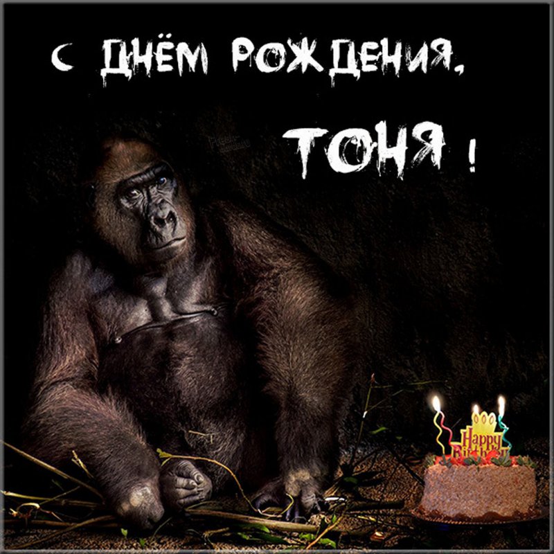 Прикольная картинка с днем рождения для Тони Версия 2