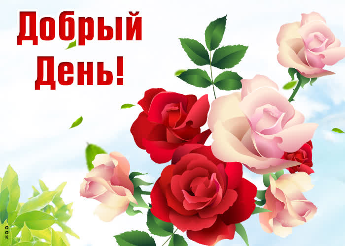 Картинка добрый день с прекрасными розами