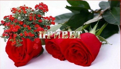Открытка Привет Красные розы